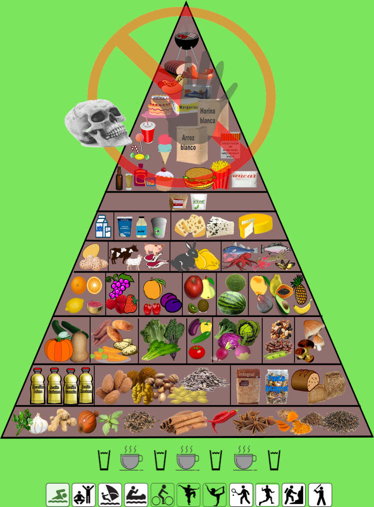 Food pyramid EIDOS
